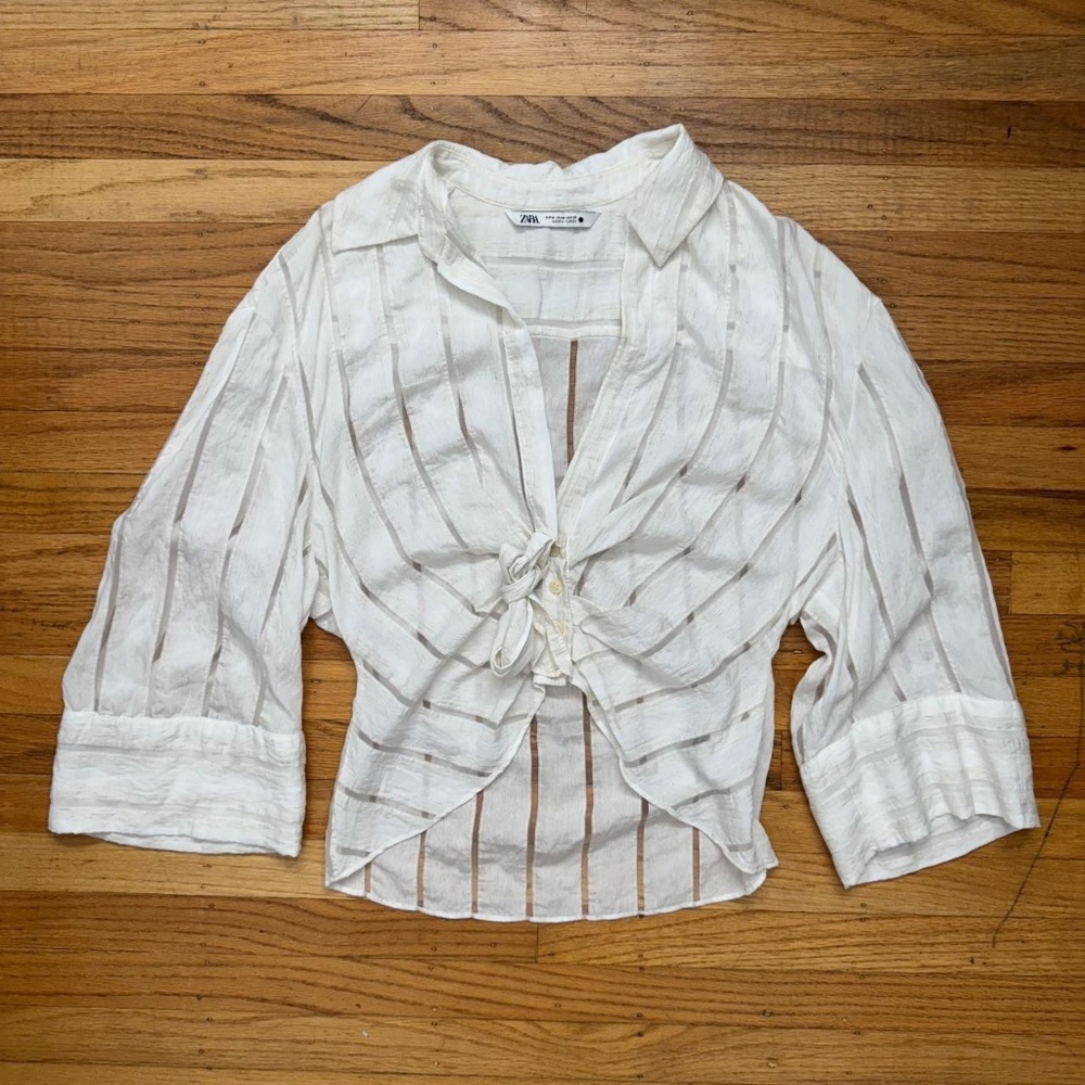 Zara Button Almost Translucent - image 1